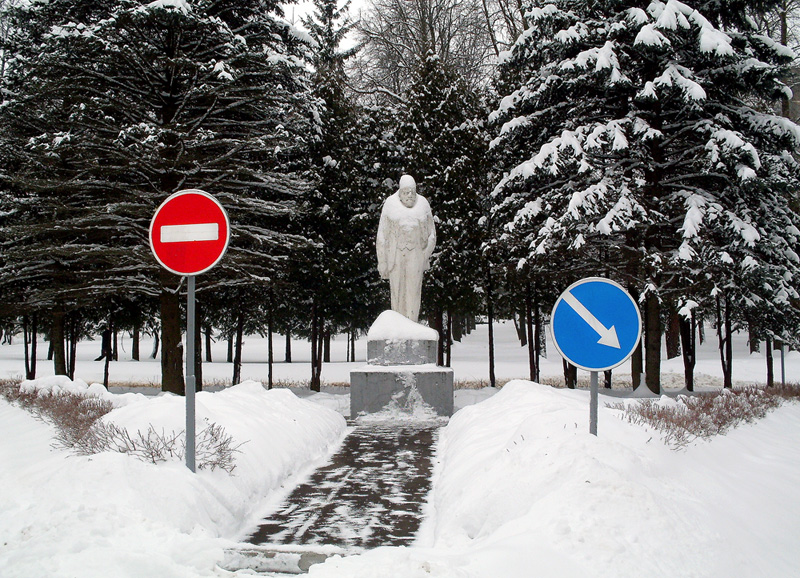 Фото жизнь