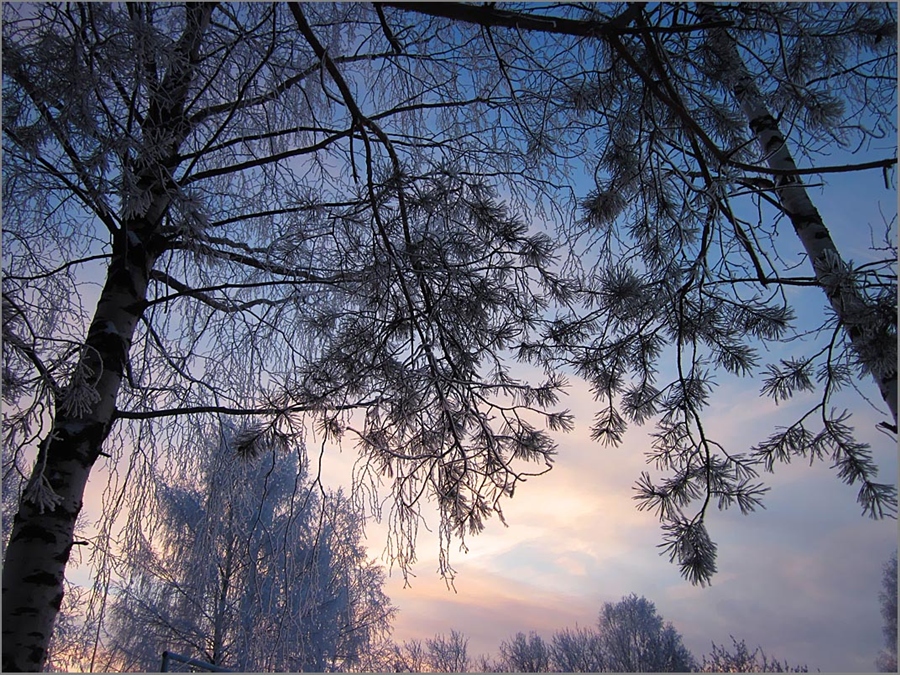 Фото жизнь