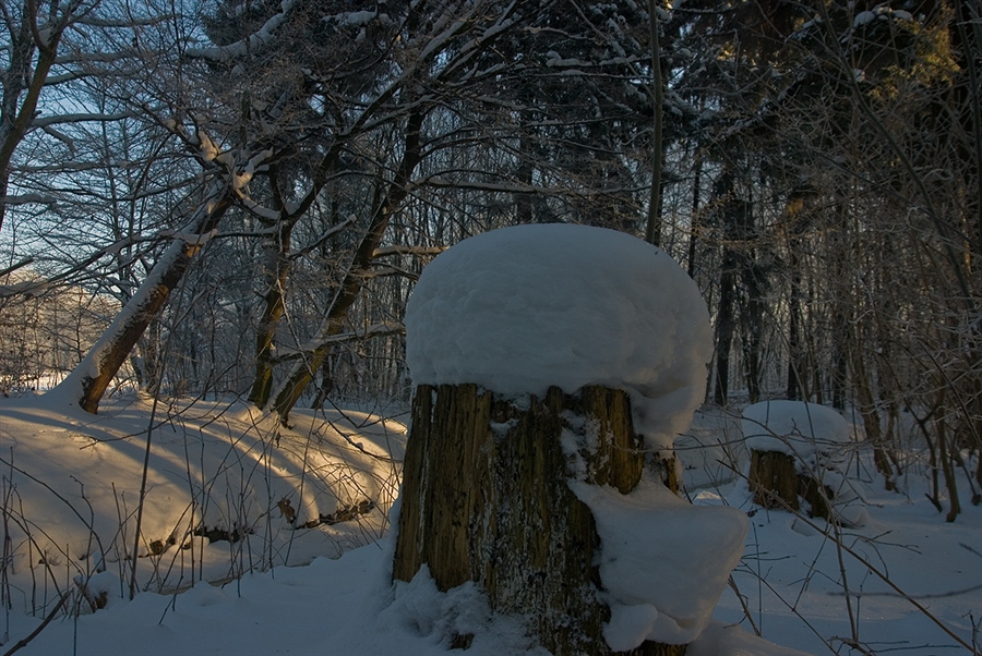 Фото жизнь