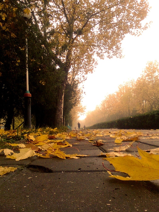 Фото жизнь