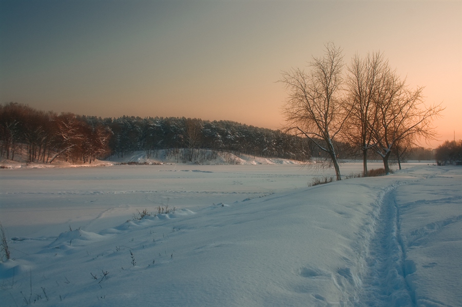 Фото жизнь