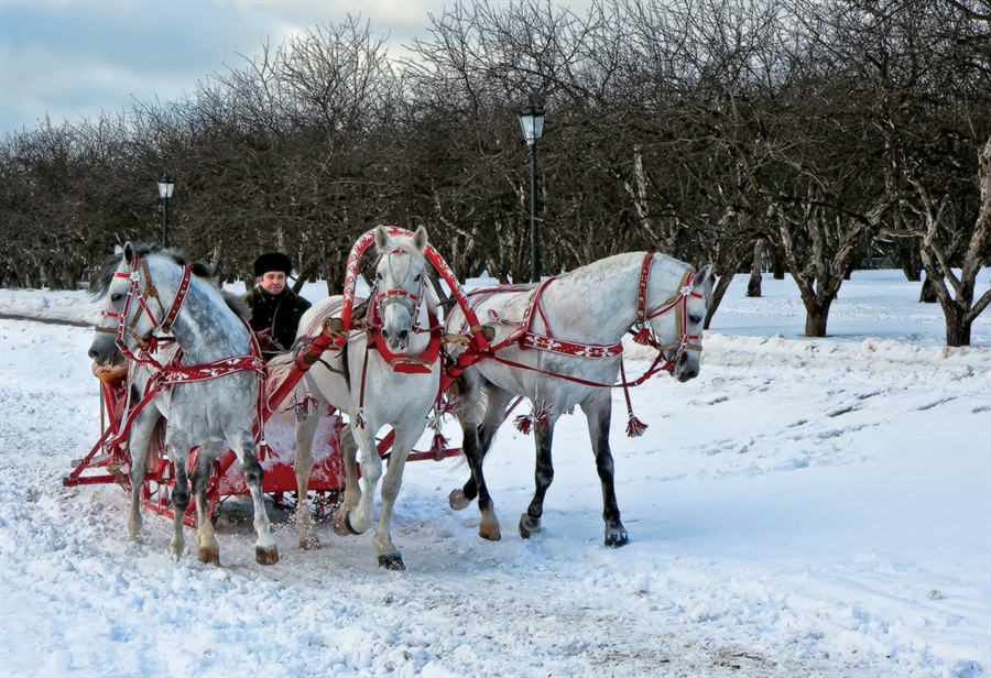 Фото жизнь