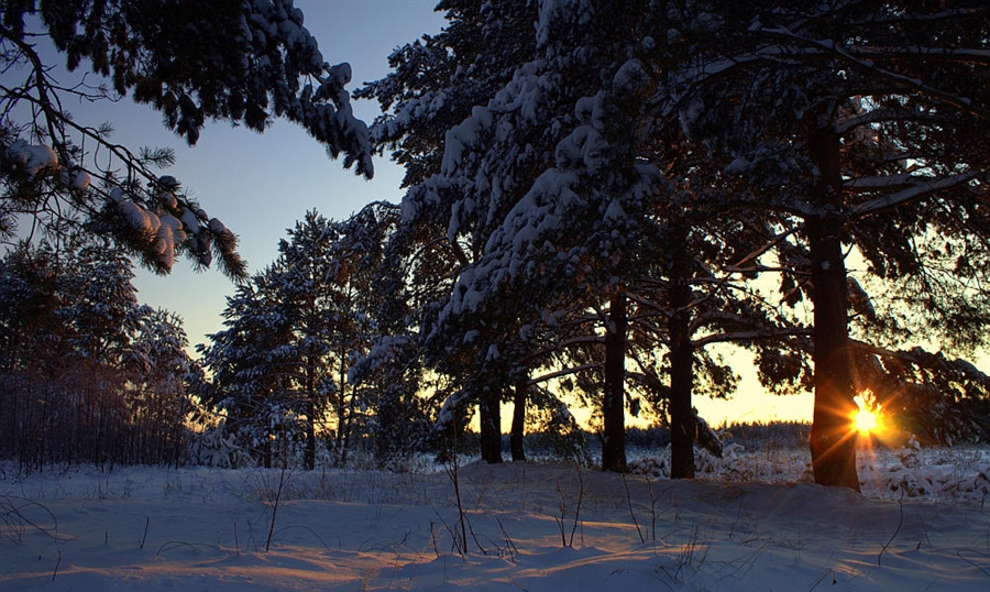 Фото жизнь