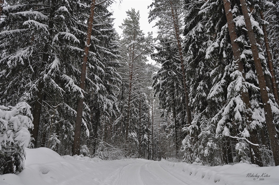 Фото жизнь