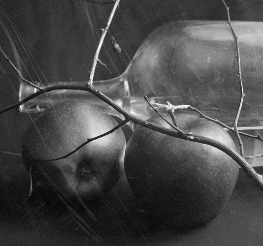 Фото жизнь (light) - svtssv - натюрморт - -