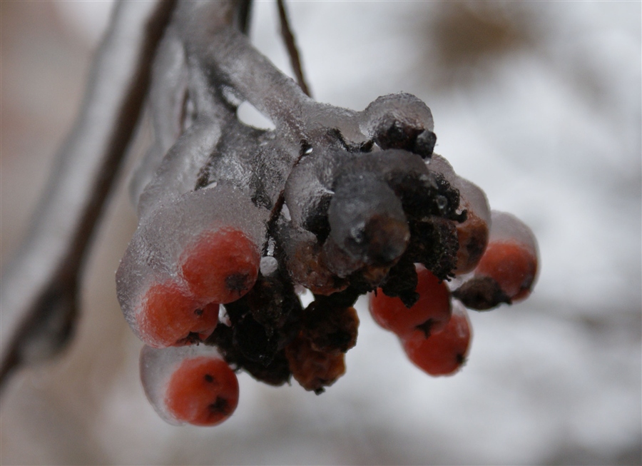 обледенение 