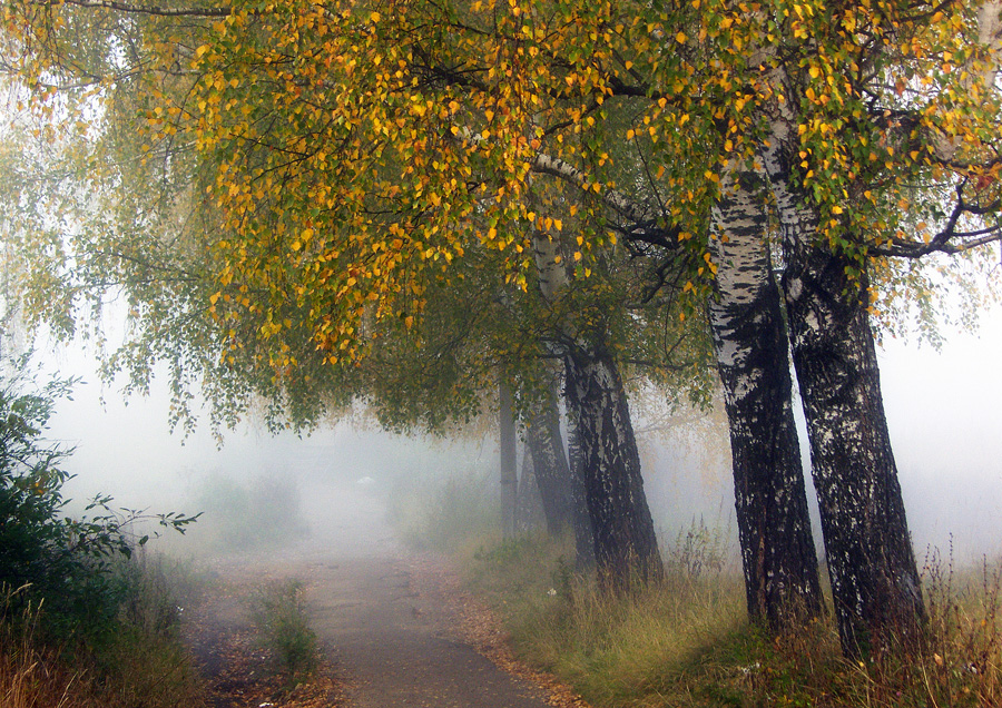 Фото жизнь (light) - PtR-Ruslan - корневой каталог - осень