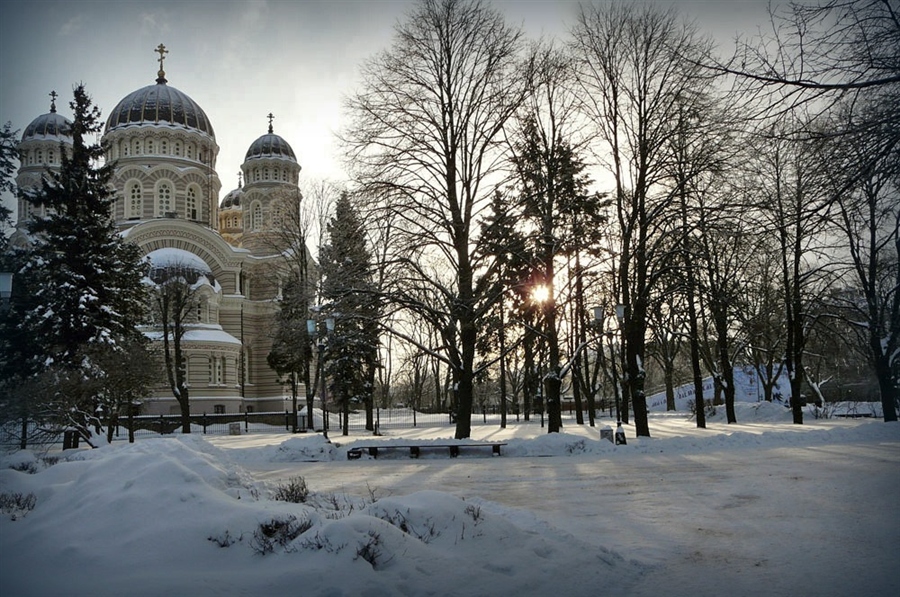 Фото жизнь