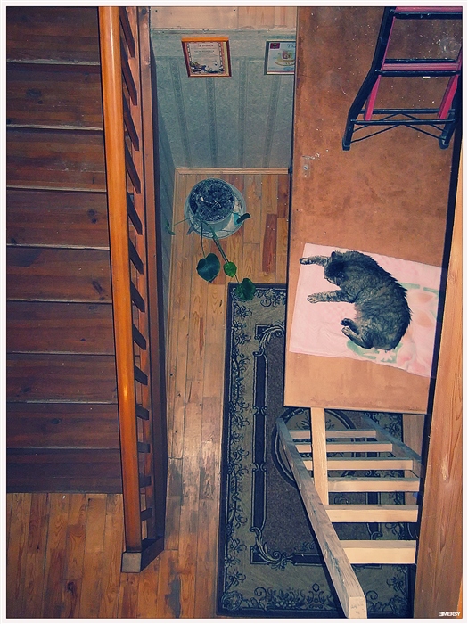Фото жизнь
