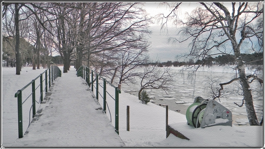 Фото жизнь