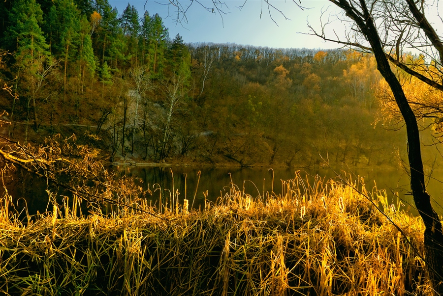 Фото жизнь