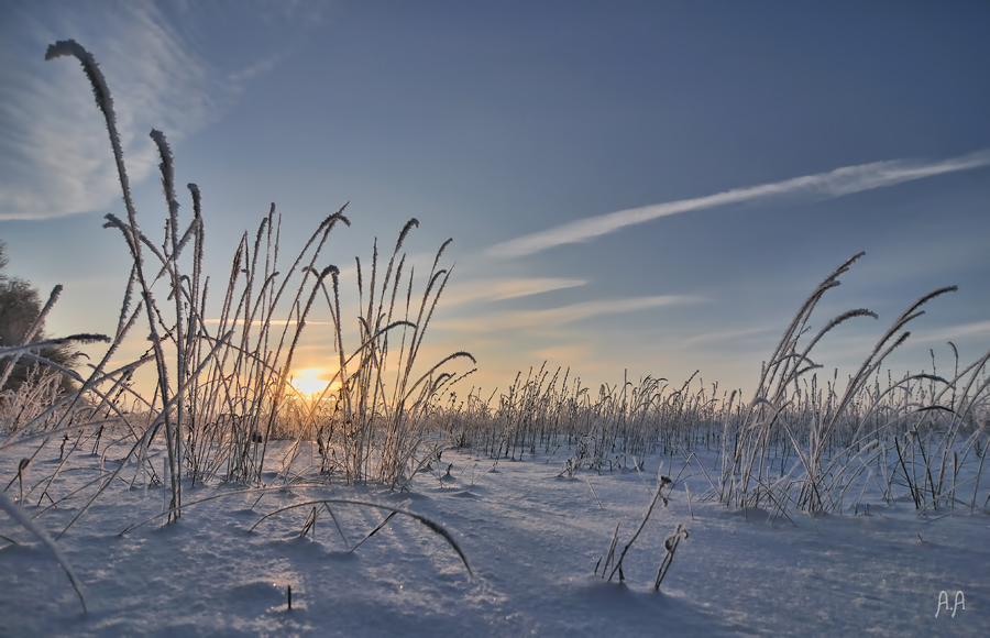 Фото жизнь (light) - Алексей Андросов - Пейзаж - Морозный закат 