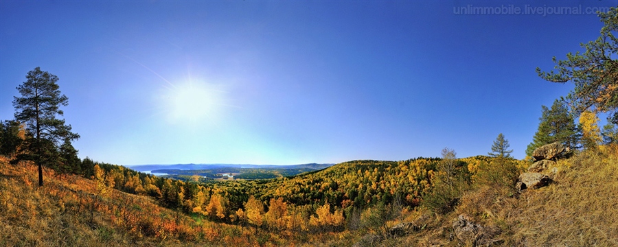 Фото жизнь