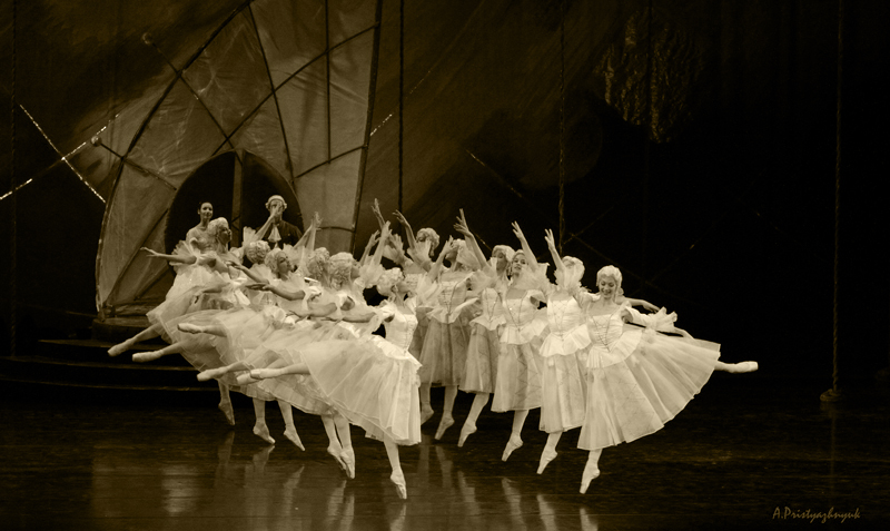 Фото жизнь (light) - Андрей Пристяжнюк - корневой каталог - фрагмент балета "Щелкунчик"