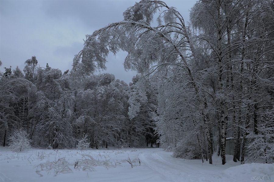 Фото жизнь