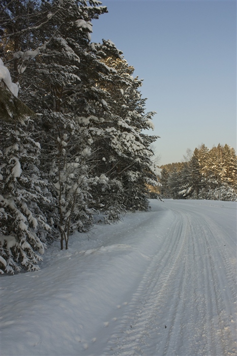 Фото жизнь