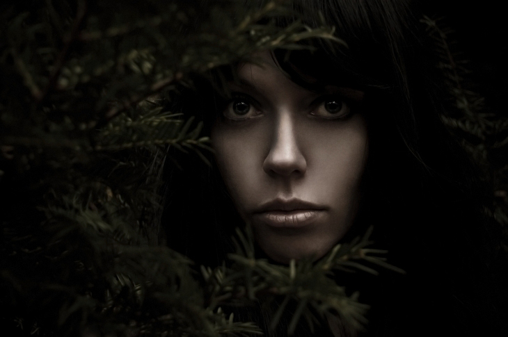 Фото жизнь (light) - Дмитрий Танатос - Портфолио фотографа - Dark forest