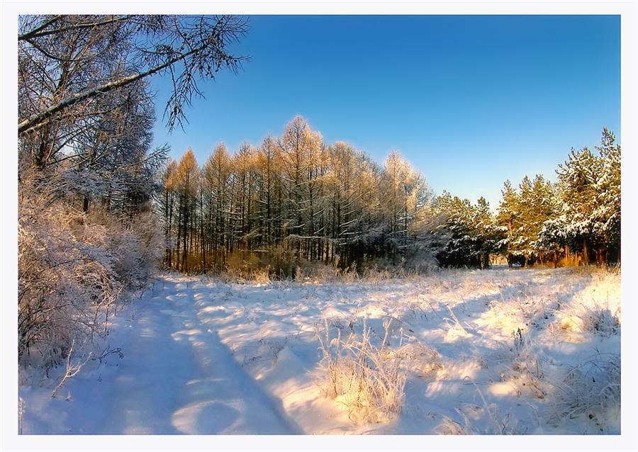 Фото жизнь