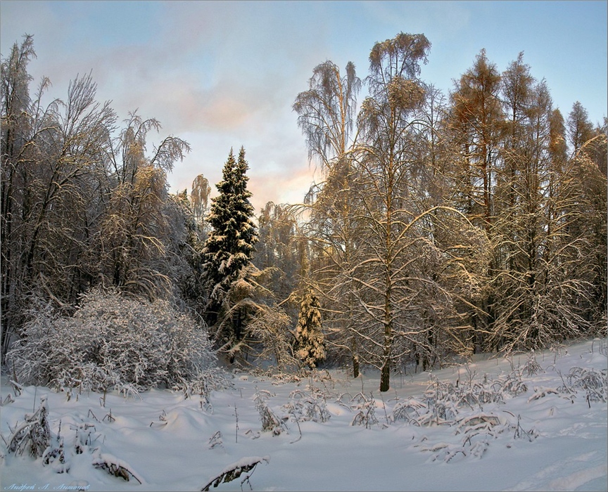 Фото жизнь