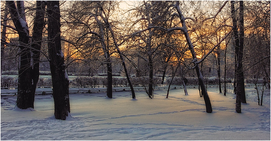 Фото жизнь