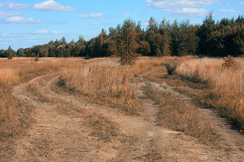 Фото жизнь (light) - AndreySavelyev - корневой каталог - ...