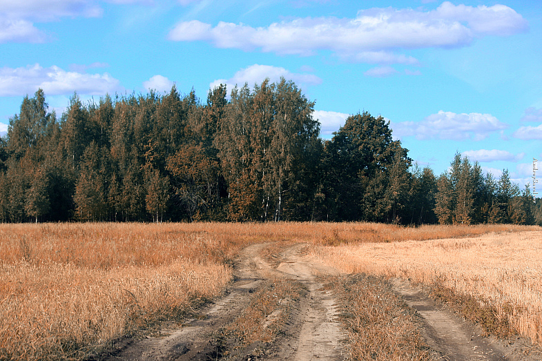 Фото жизнь (light) - AndreySavelyev - корневой каталог - ...