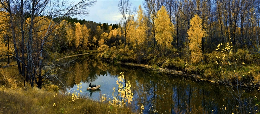 Фото жизнь