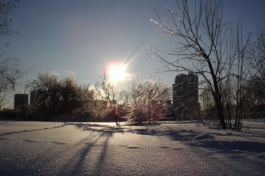 Фото жизнь