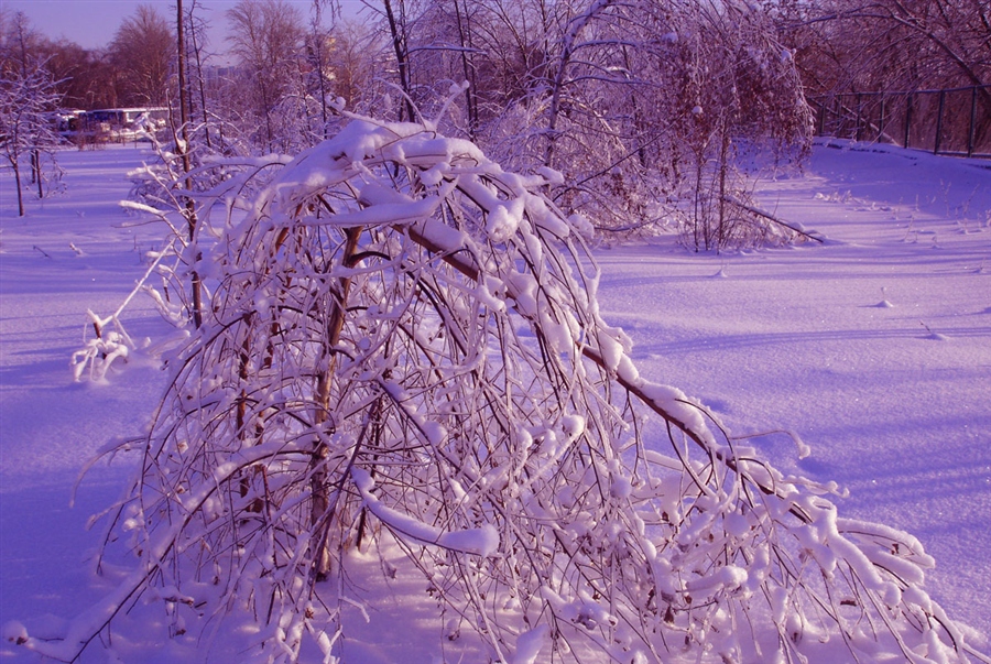 Фото жизнь