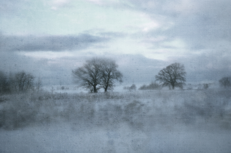 Фото жизнь (light) - chveta_neba - абсолютная влажность - зависть