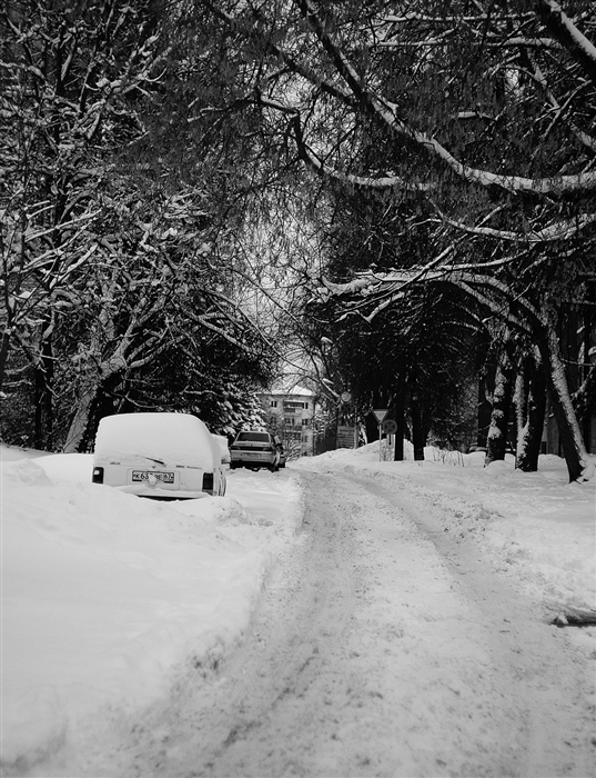 Фото жизнь