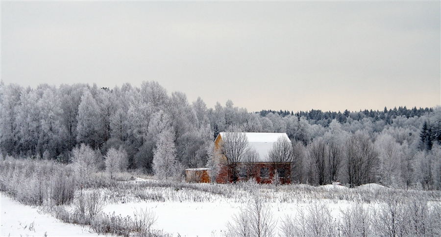 Фото жизнь