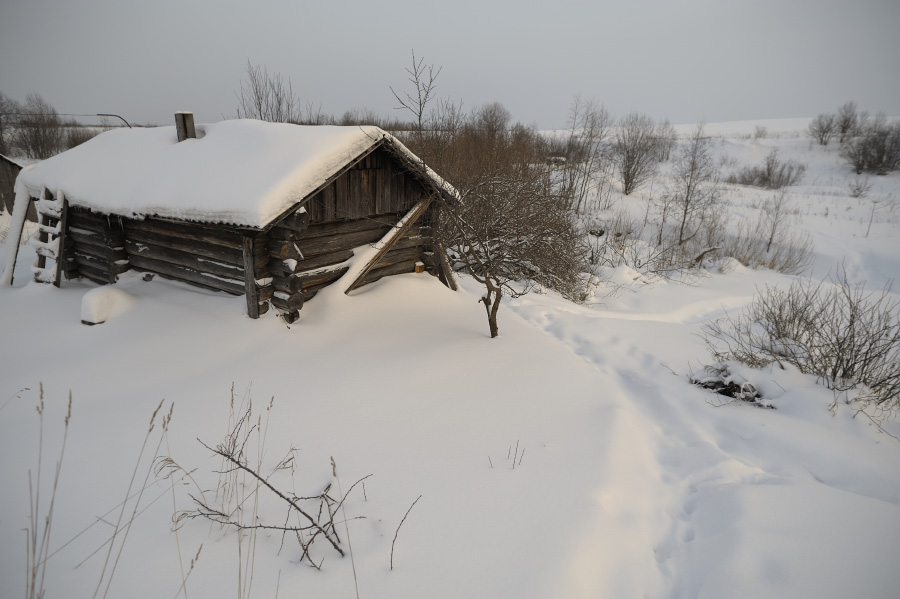 Фото жизнь