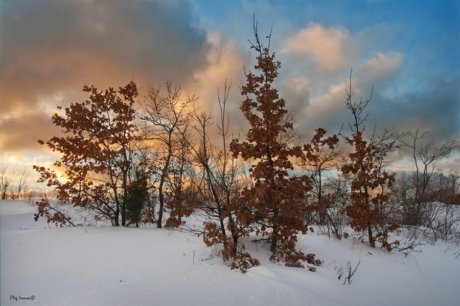 Фото жизнь
