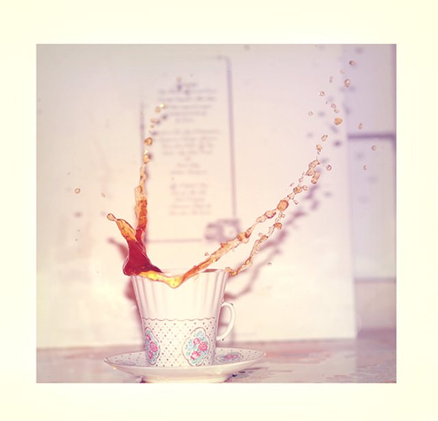 Фото жизнь (light) - Махотина Дарья - корневой каталог - ***