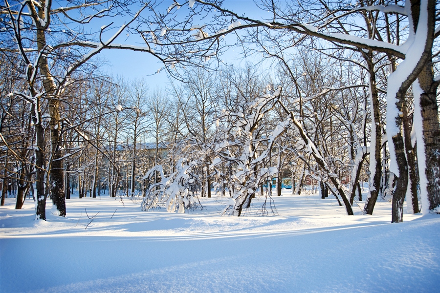 Фото жизнь