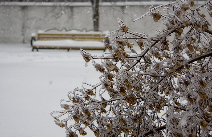 Фото жизнь (light) - Наталья Кузнецова - Природа - Снежные зарисовки