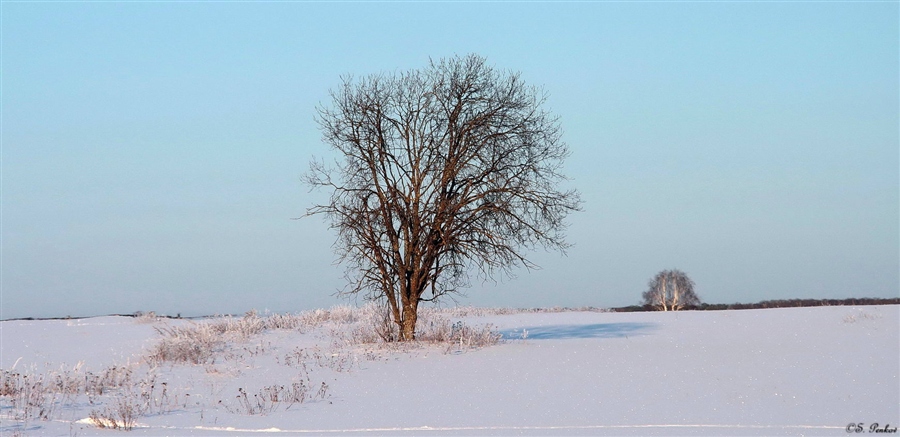 Фото жизнь