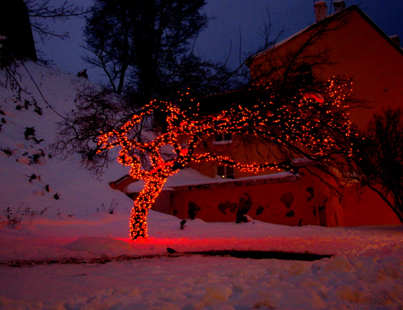 Фото жизнь - Олег Высоцкий - Рождественский свет в Таллине - Рождественский свет в Таллине