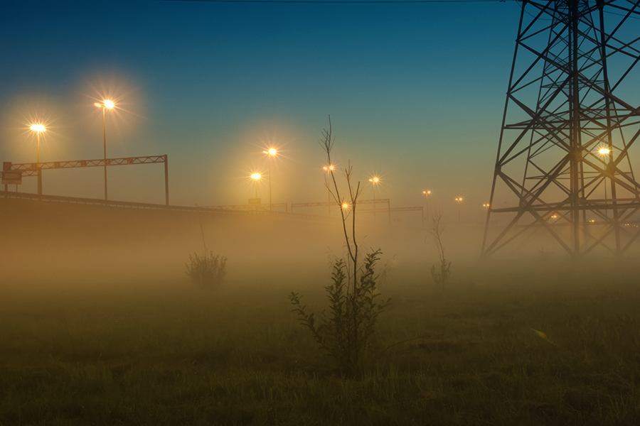 Фото жизнь (light) - Ильза Арсеньева - корневой каталог - Ночной куст в тумане у кольцевой