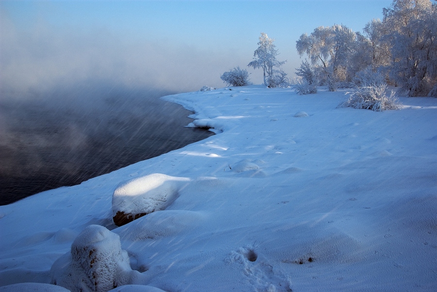 Фото жизнь