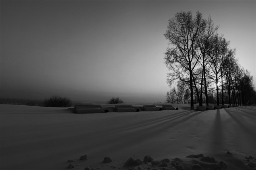 Фото жизнь