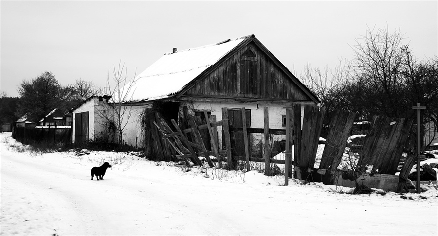 Фото жизнь