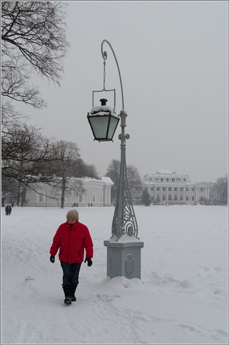 Фото жизнь