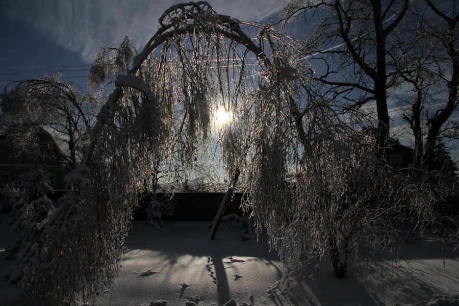 Фото жизнь