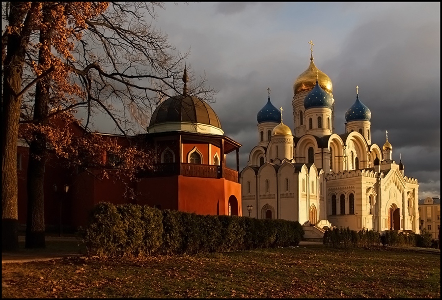 Фото жизнь