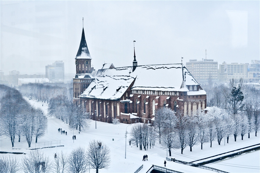 Фото жизнь