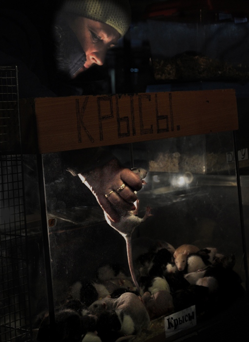 Фото жизнь