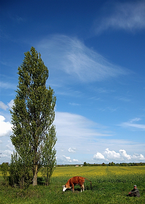 Фото жизнь