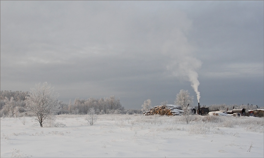 Фото жизнь